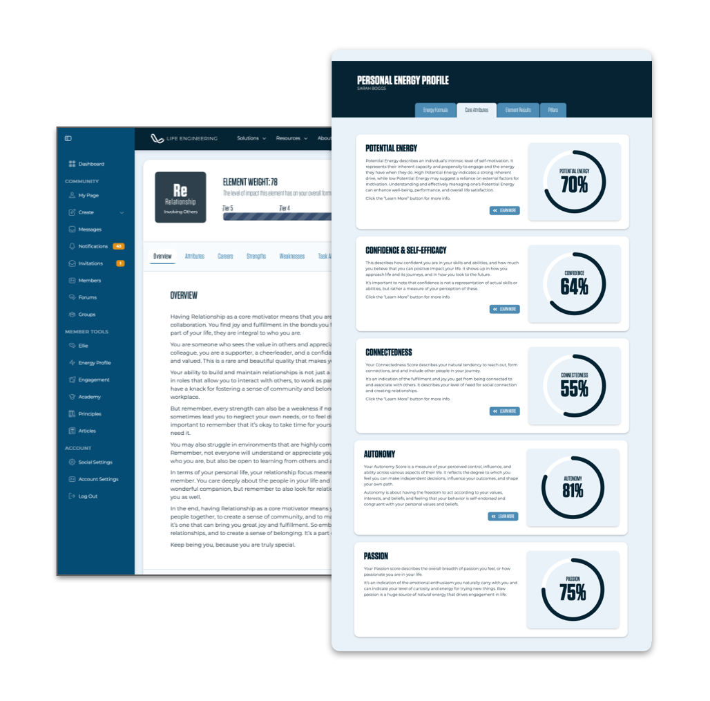 screenshots of an assessment report measuring motivation and passion and energy.