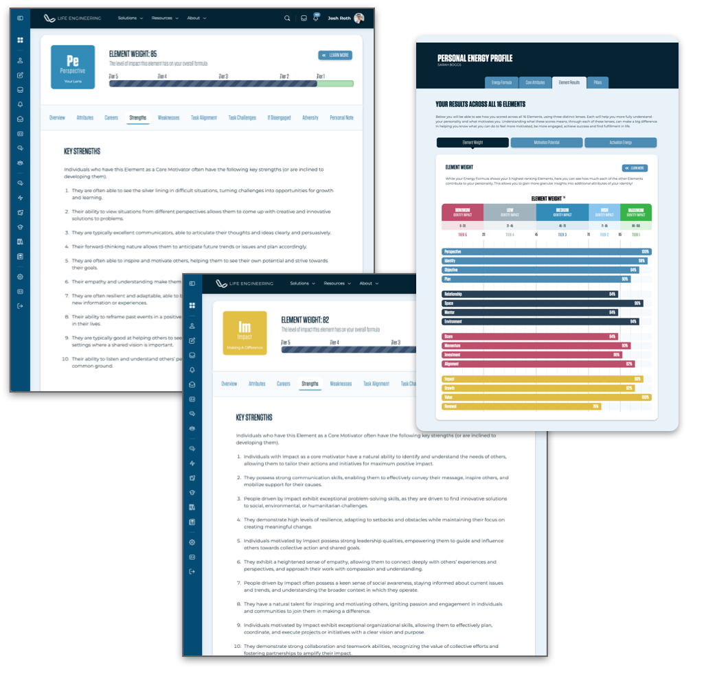 Screenshots of a report measuring talent, skills and innate abilities.