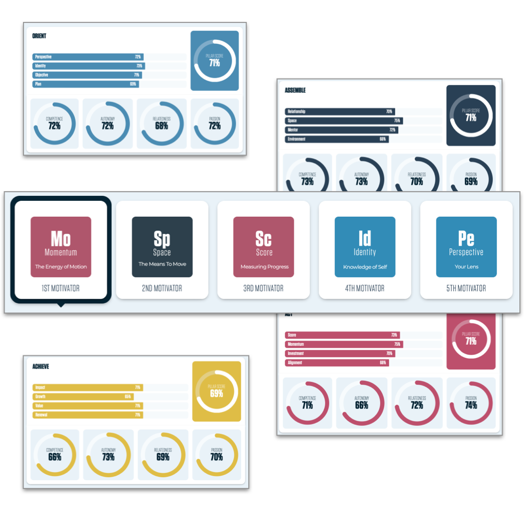 An assessment and report to measure and understand organizational and team culture.